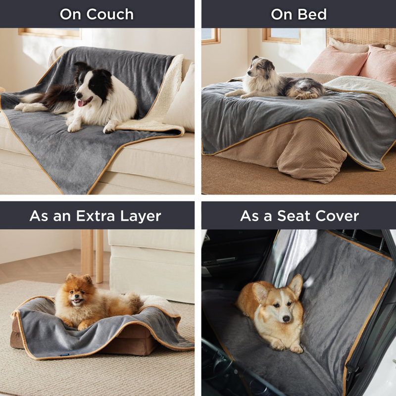QUALITY FLOORING INC. Waterproof Blanket For Bed Sherpa Fleece Waterproof Dog Blankets For Large Dogs Pet Blankets For Bed Couch Dog Crate Soft Plush Reversible Furniture Protector Wayfair